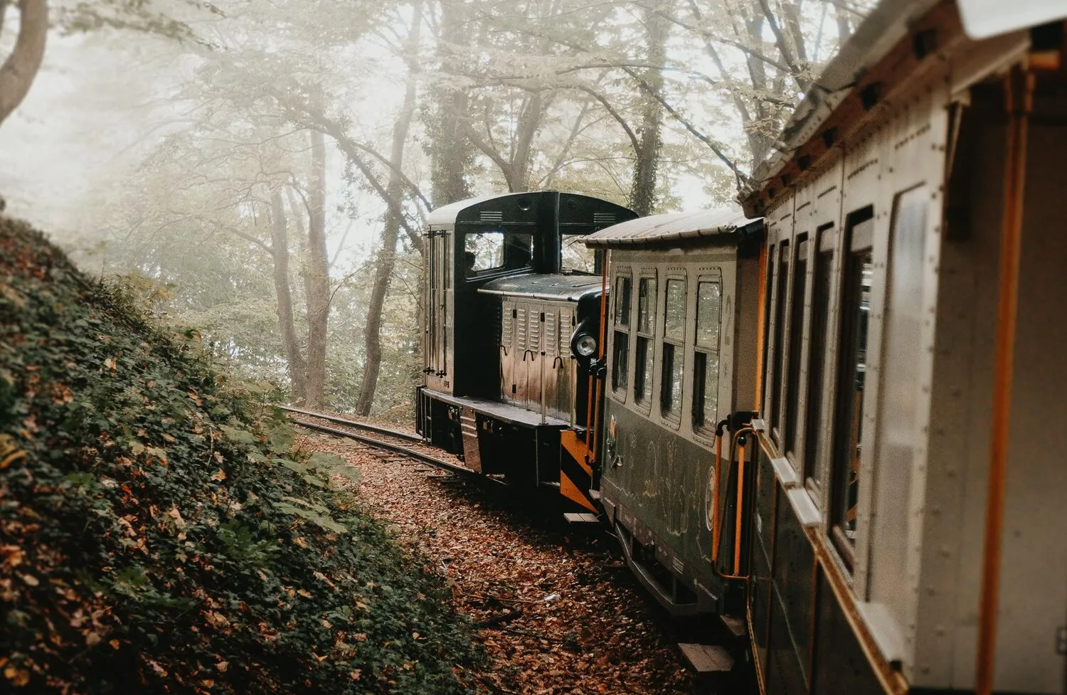 The narrow-gauge forest railway at Lillafüred